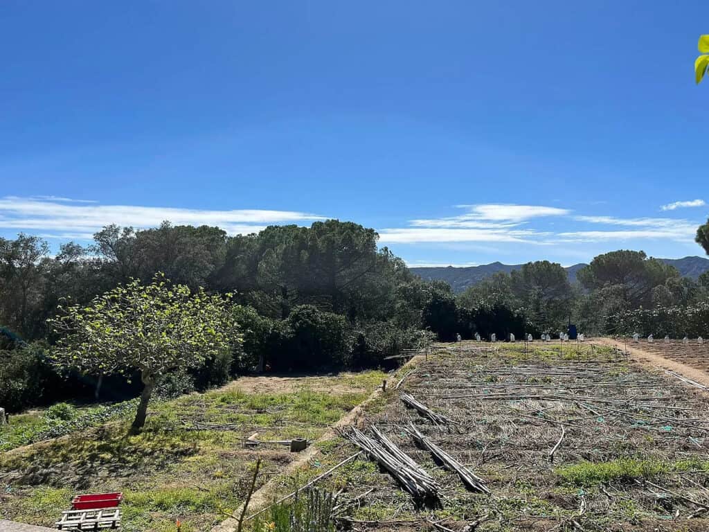 Plot for Sale in Santa Cristina d&apos;Aro