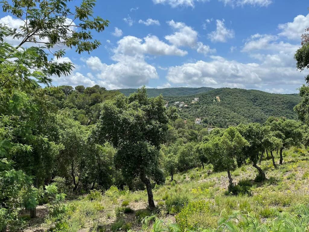 Plot for Sale in Calonge