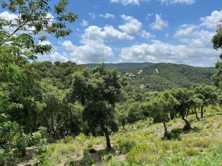 Plot for Sale in Calonge