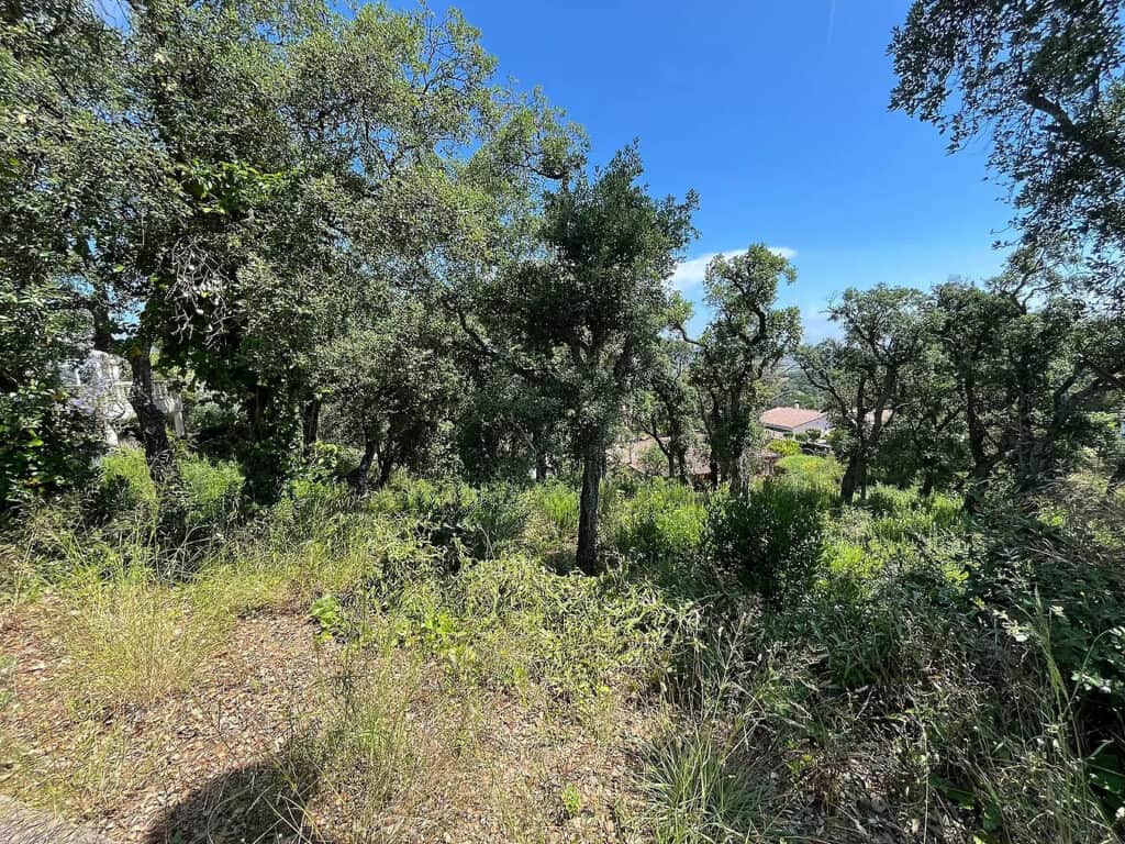 Plot for Sale in Calonge