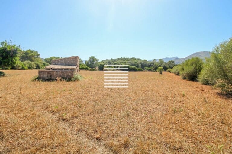  Balearic Islands