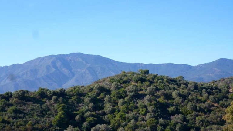 Plot for sale in Estepona